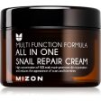 Mizon All in One Snail Repair Cream 120 ml كريم الحلزون لاصلاح البشرة For Discount