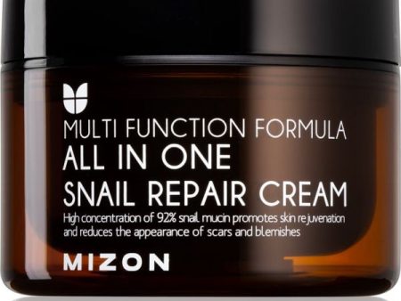 Mizon All in One Snail Repair Cream 120 ml كريم الحلزون لاصلاح البشرة For Discount