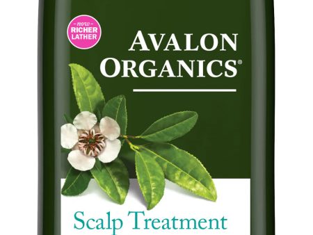 AVALON TEA TREE SCALP TREATMENT SHAMPOO شامبو الشعر بزيت شجرة الشاي من افلون Online