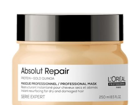 L oreal Serie Expert Absolut Repair Mask Fashion