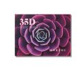 MORPHE 35D Desert Bouquet Artistry Palette بالت ظلال العيون Hot on Sale