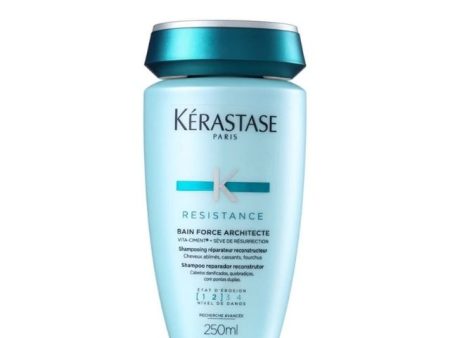 Kerastase Resistance Bain Force Architecte For Cheap